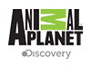 Logo de Animal Planet en vivo